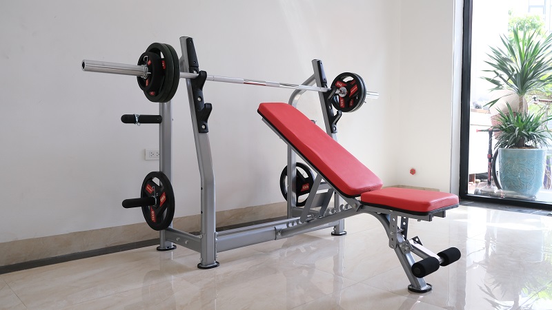 Ghế nằm đẩy tạ G02 9 Ghế nằm đẩy tạ G02