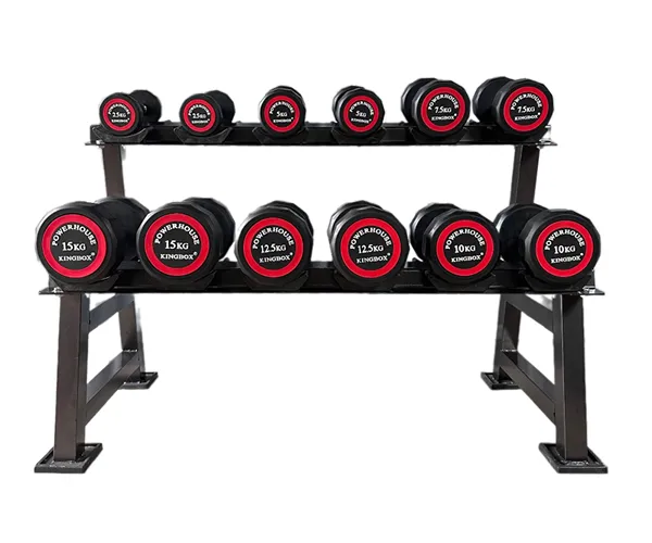 Giá để tạ tay 2 tầng 6 đôi Kingbox