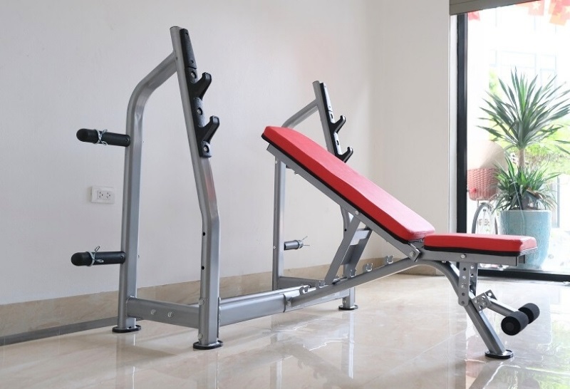 Ghế nằm đẩy tạ G02 4 Ghế nằm đẩy tạ G02