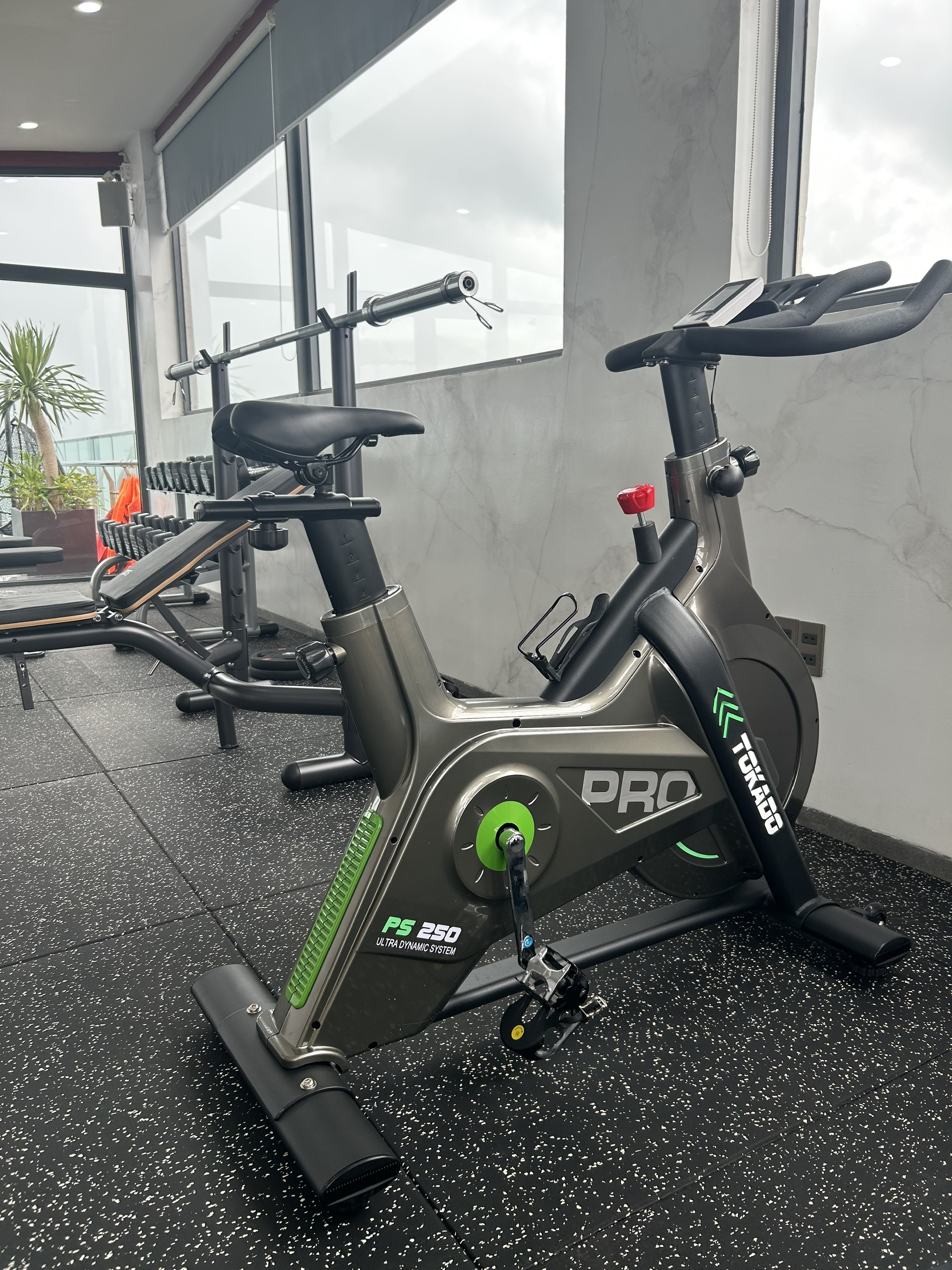xe đạp tập phòng gym PS 250