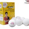 Quả bóng bàn thi đấu V40+ DOUBLE FISH hộp 6 quả