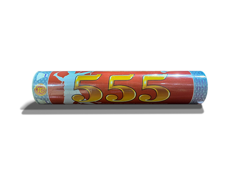 Quả cầu lông 555 6 Hộp đựng quả cầu lông 555