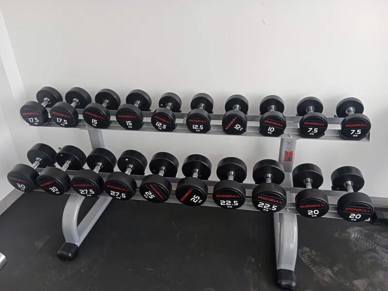 Giá để tạ 2 tầng loại 10 cặp HQ-10 10 tạ tay bọc cao su ironbull