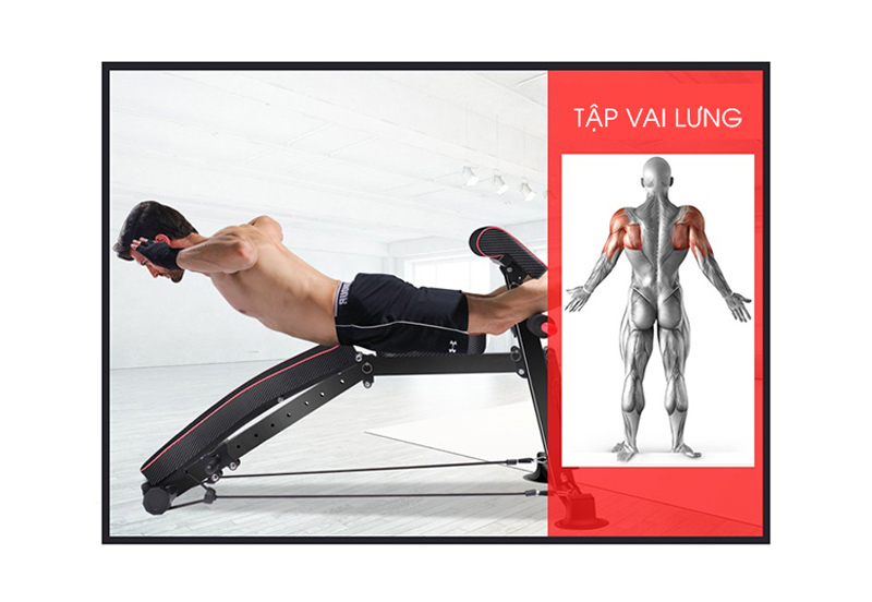 tap co lung voi ghe tap gym KK022D