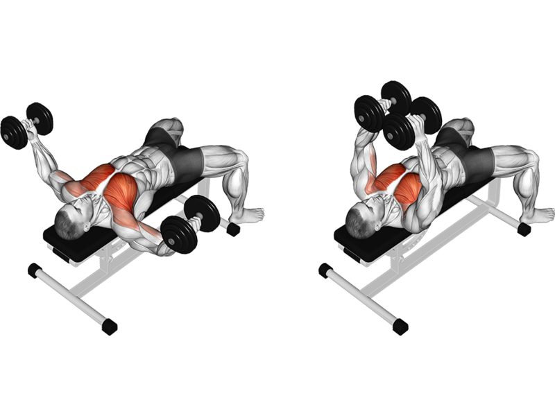 Ghế tập tạ đơn XK Thiên Trường 11 tập tạ tay tạ đơn với ghế tập tạ