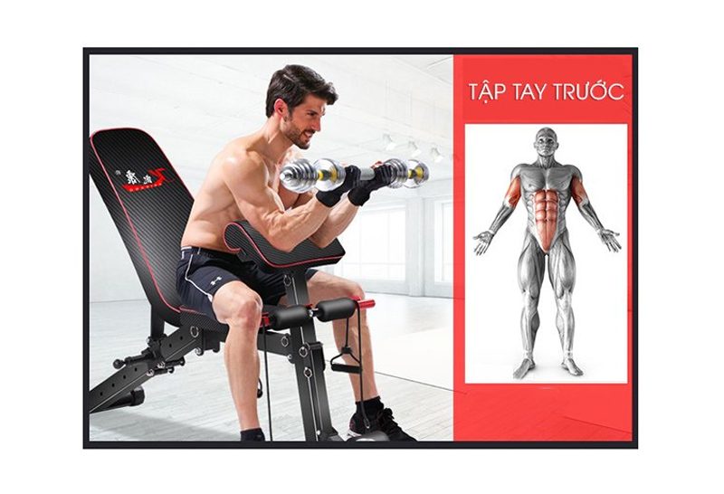 tap tay truoc voi ghe tap gym KK022D