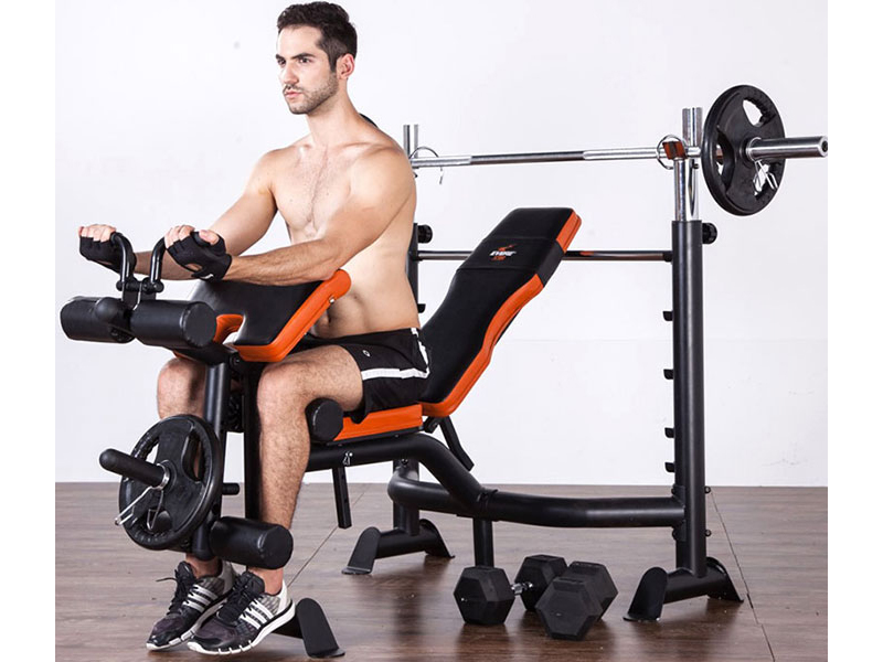 Ghế tập tạ GM 4380 12 Tập với ghế tập tạ GM 4380
