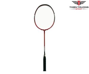 Thông số kỹ thuật vợt cầu lông Proace Platinum 110