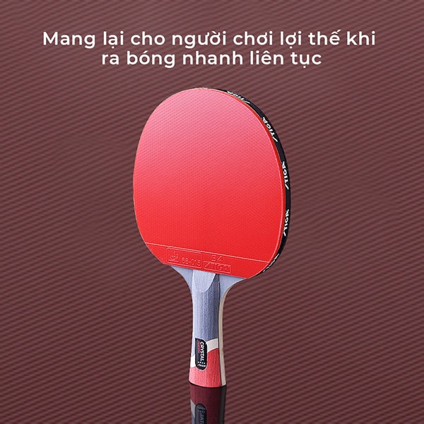 vợt bóng bàn Stiga 4 sao