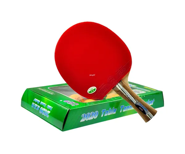 Vợt bóng bàn 729 2020