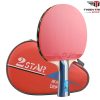 Vợt bóng bàn 729 2Star