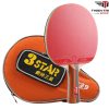 Vợt bóng bàn 729 3Star
