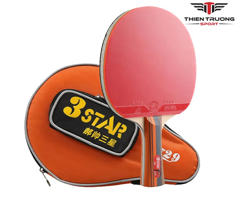 Vợt bóng bàn 729 3Star