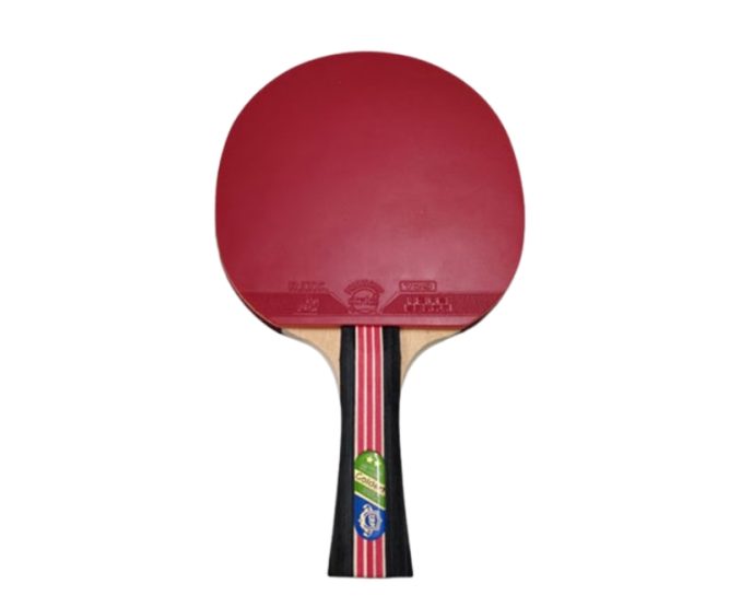 vợt bóng bàn 729 Golden Max 2Star