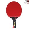 Vợt bóng bàn Huieson 5 sao