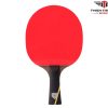 Vợt bóng bàn Huieson X 6 sao