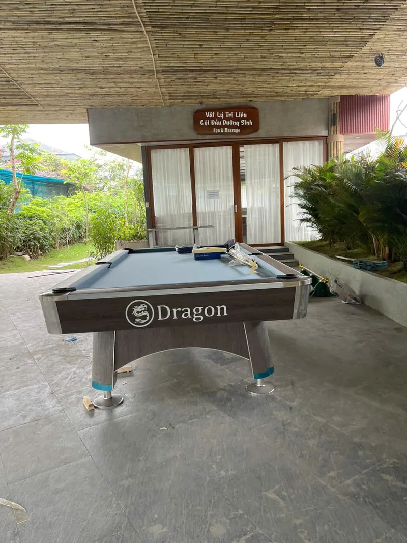 Bàn bida Dragon 9018