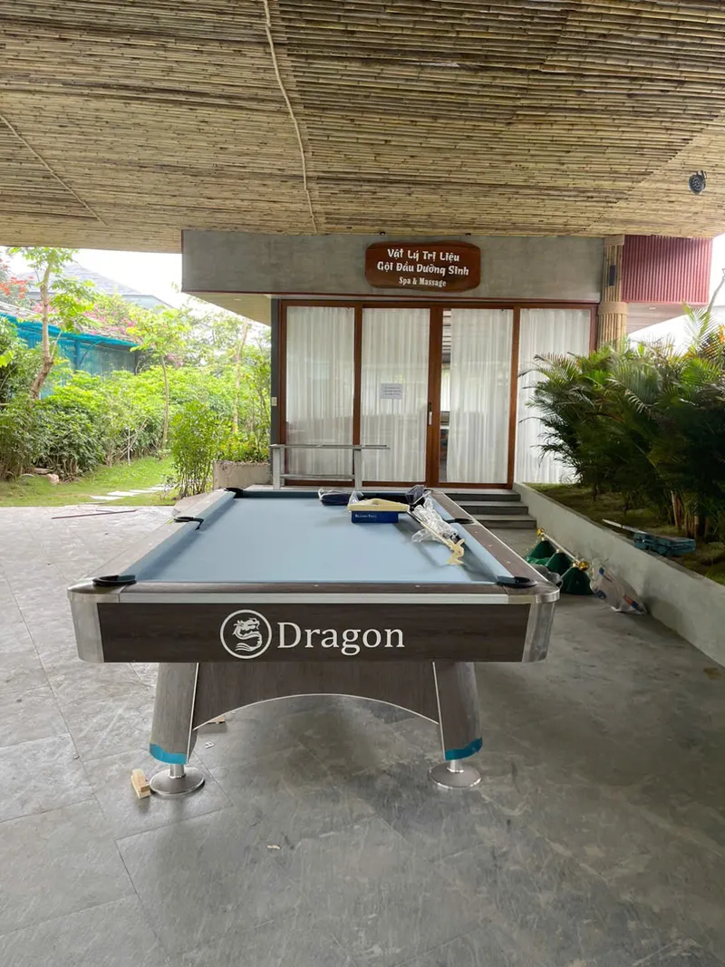 bàn bida dragon cao cấp