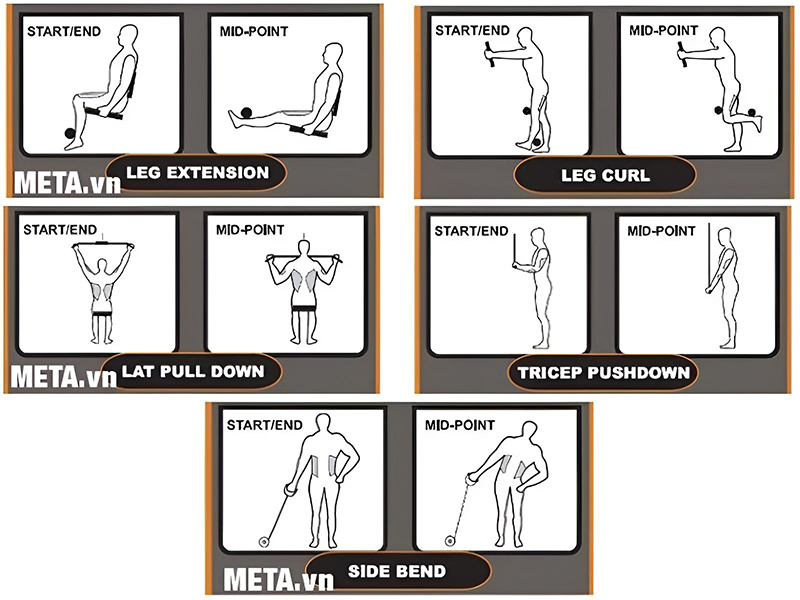 Bài tập với giàn tạ đa năng Impulse ES3000