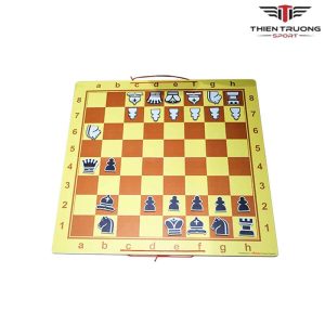 Bộ cờ vua giảng dạy