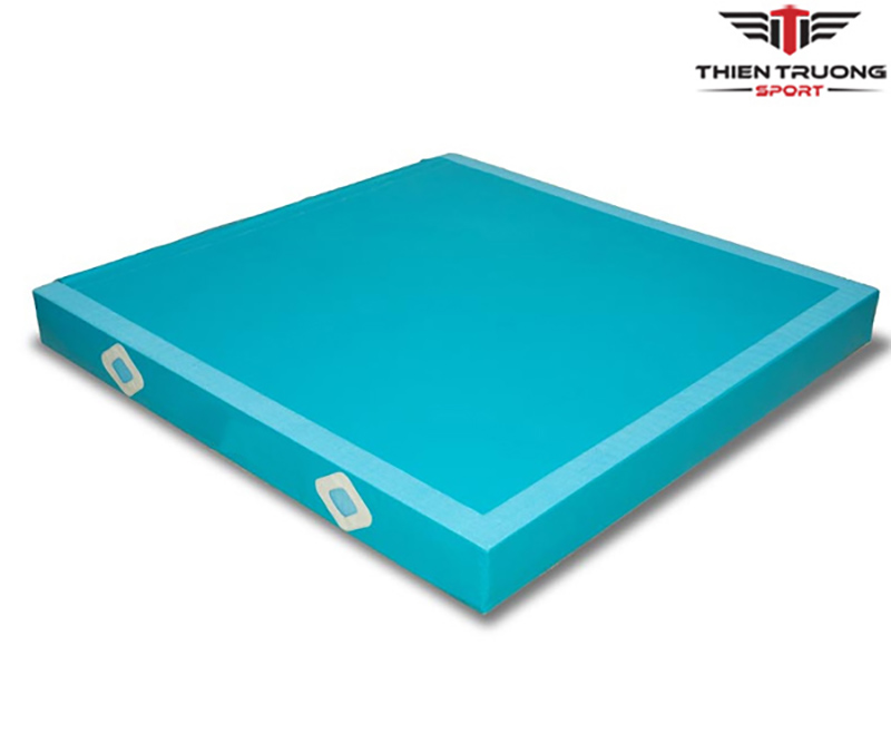 Bộ đệm tiếp đất thi đấu 2 Hình ảnh Bộ đệm tiếp đất thi đấu