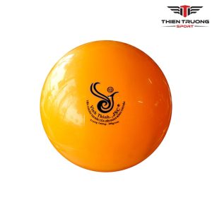 Quả bóng chuyền hơi Vĩnh Thịnh