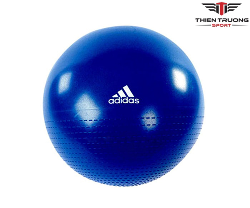 Bóng tập thể dục Adidas ADBL 12248 2 Hình ảnh bóng tập thể dục ADBL 12248