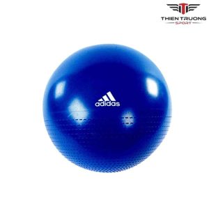 Bóng tập thể dục Adidas ADBL 12248