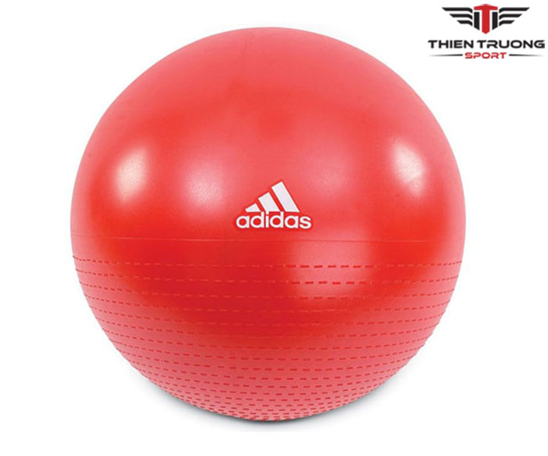Bóng thể dục Adidas ADBL-12245 3 Hình ảnh bóng thể dục Adidas AD-12245