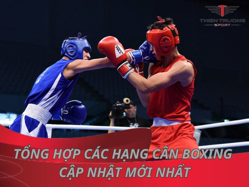 Tổng hợp các hạng cân boxing cập nhật mới nhất 2025 22 Hạng cân boxing