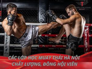Các lớp học Muay Thái ở Hà Nội chất lượng, đông hội viên nhất ! 20 Các lớp học Muay Thái Hà Nội