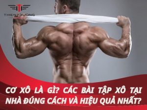Cơ xô là gì? Các bài tập xô tại nhà đúng cách & hiệu quả nhất? 7 Cơ xô là gì? Các bài tập xô tại nhà đúng cách & hiệu quả nhất?