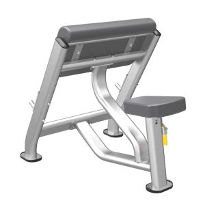 Ghế tập tay trước Impulse IT7002