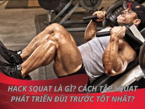 Hack Squat là gì? Cách tập Squat phát triển đùi trước tốt nhất? 21 Hack Squat là gì? Cách tập Squat phát triển đùi trước tốt nhất?