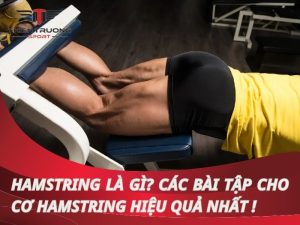 Hamstring là gì? Các bài tập cho cơ Hamstring hiệu quả Nhất ! 7 Hamstring là gì