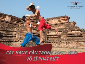 Tất tần tật về các hạng cân trong Muay Thái võ sĩ cần biết 4 Các hạng cân trong Muay Thái