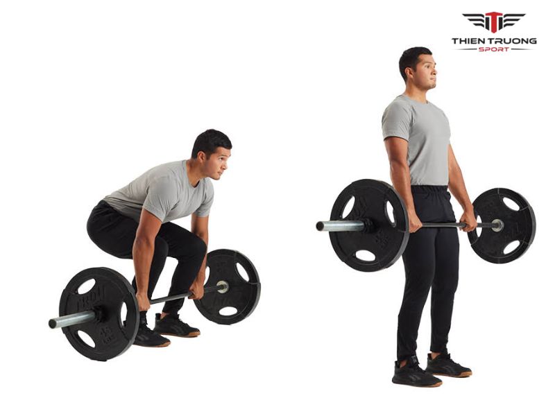 Các bài tập thể lực trong tập bóng chuyền hiệu quả 3 Bài tập Deadlifts