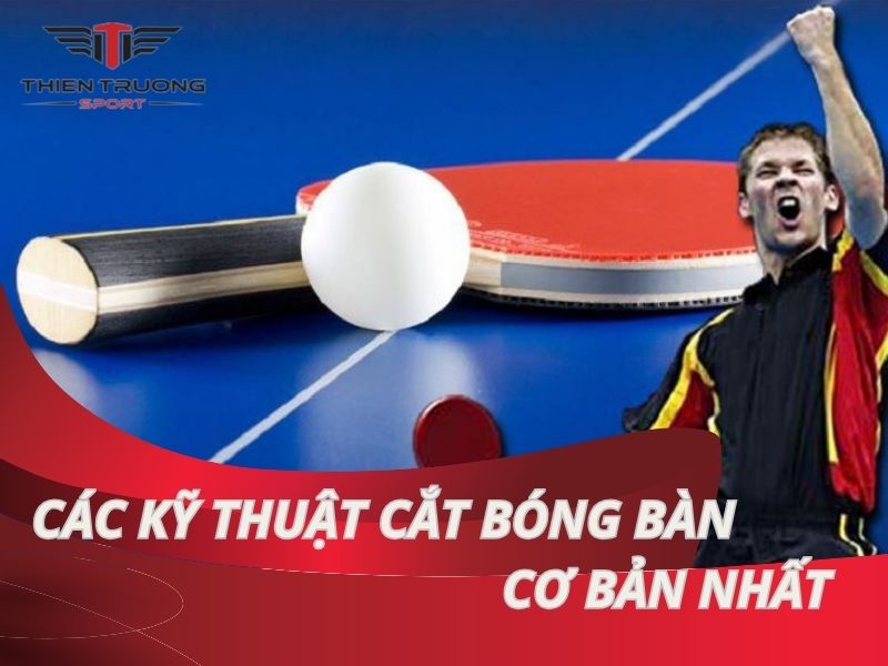 Các kỹ thuật cắt bóng bàn cơ bản nhất cho người chơi bóng bàn 9 Các kỹ thuật cắt bóng bàn cơ bản nhất cho người chơi bóng bàn