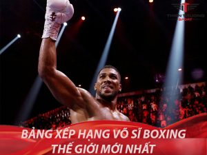 Bảng xếp hạng Top 10 võ sĩ boxing thế giới mới nhất (P1) 14 Võ sĩ boxing thế giới