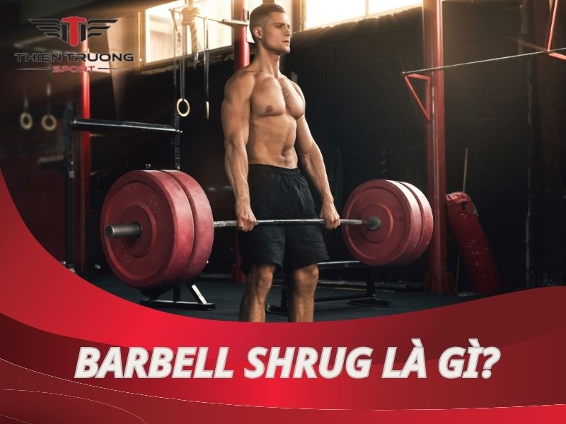 Barbell Shrug là gì? Cách tập phát triển cầu vai tốt cho Gymer? 8 Barbell Shrug