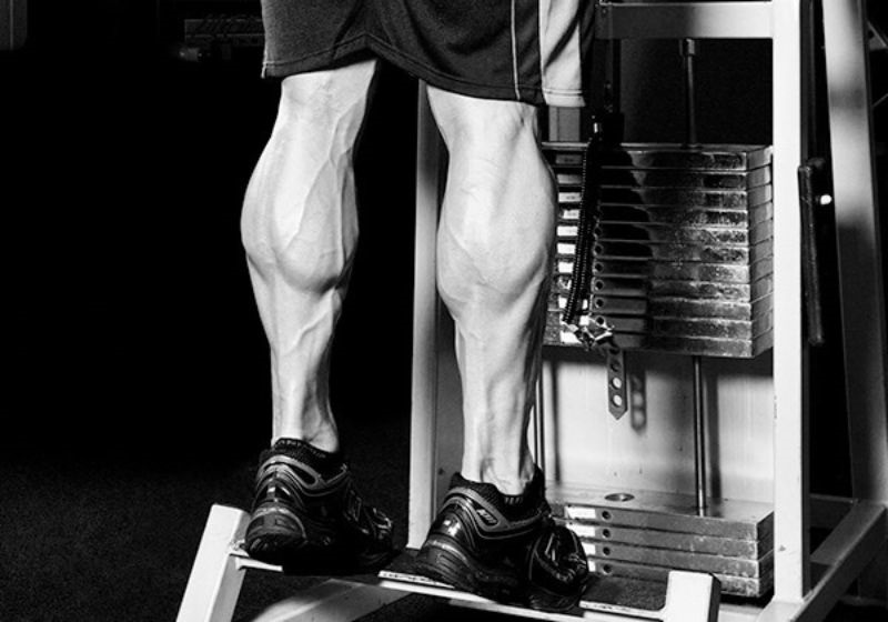 Calves là gì? Bí quyết phát triển bắp chân hiệu quả cho Gymer 2 Calves la gi 2