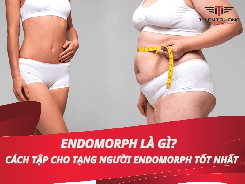 Endomorph là gì