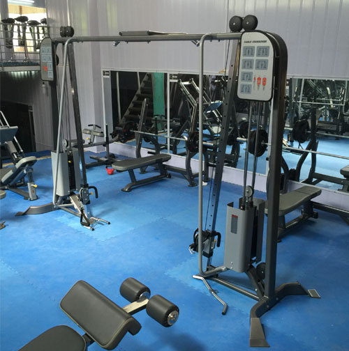 Giàn xô bay phòng tập DH Gym