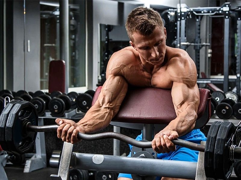 Bài tập Preacher Curl