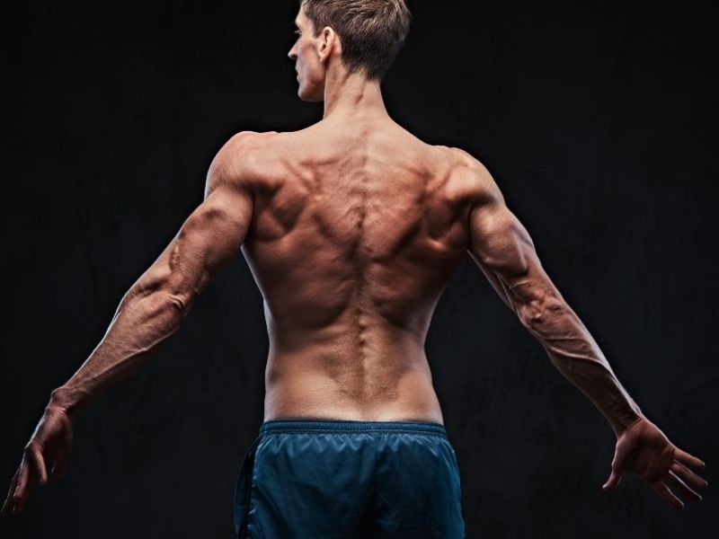 Lợi ích của bài tập Straight Arm Pulldown