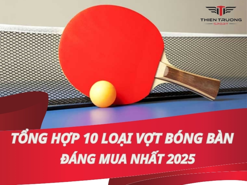 Top 10 các loại vợt bóng bàn đáng mua nhất 2025 1 Các loại vợt bóng bàn