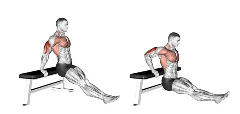 Bài tập Bench Dips