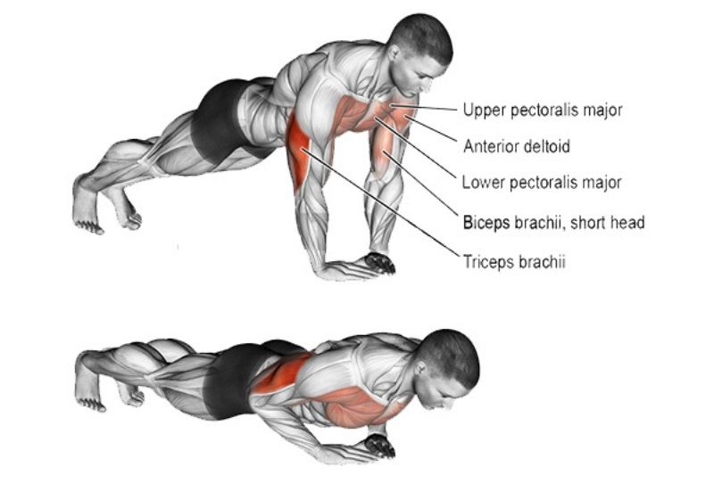 Bài tập Diamond Push-up
