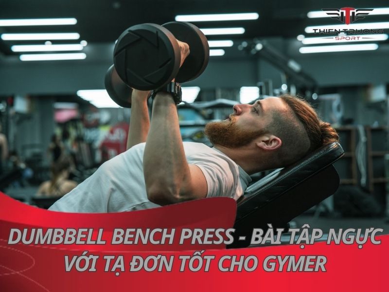 Dumbbell Bench Press - Bài tập ngực với tạ đơn tốt cho Gymer 2 Dumbbell Bench Press