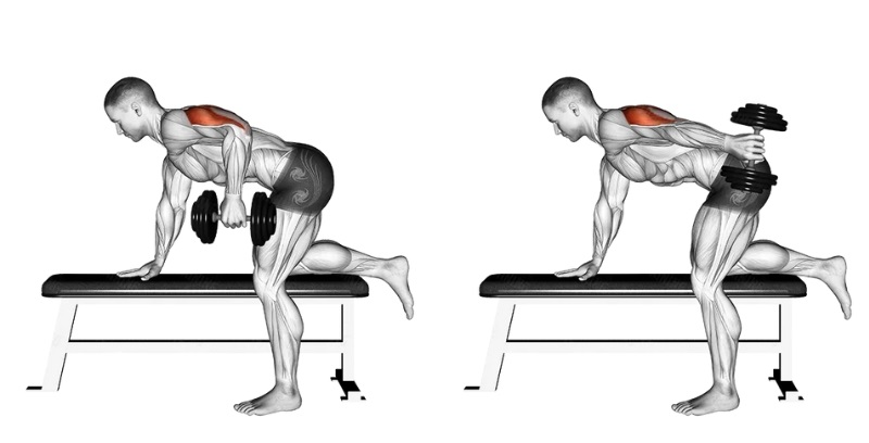 Bài tập Tricep Dumbbell Kickback